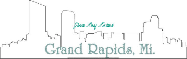 Grand Rapids Skyline