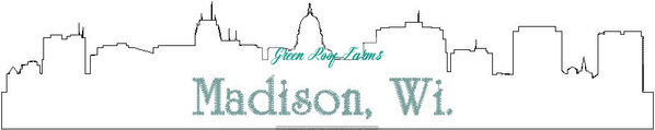 Madison Skyline