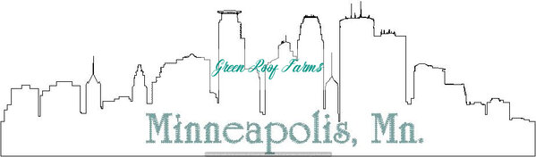 Minneapolis Skyline