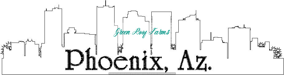 Phoenix Skyline