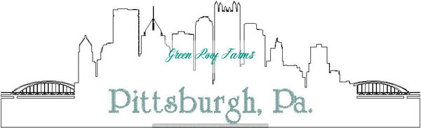Pittsburgh Skyline