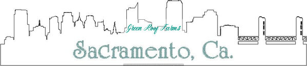 Sacramento Skyline