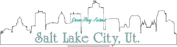 Salt Lake City Skyline