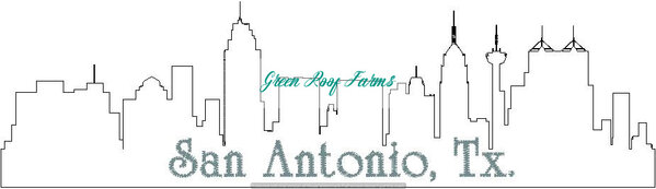 San Antonio Skyline