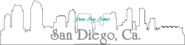 San Diego Skyline