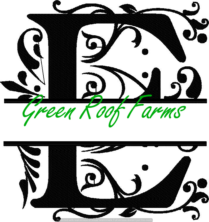 4x4 Royal Font Split with knockdown: E