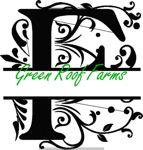 4x4 Royal Font Split with knockdown: F