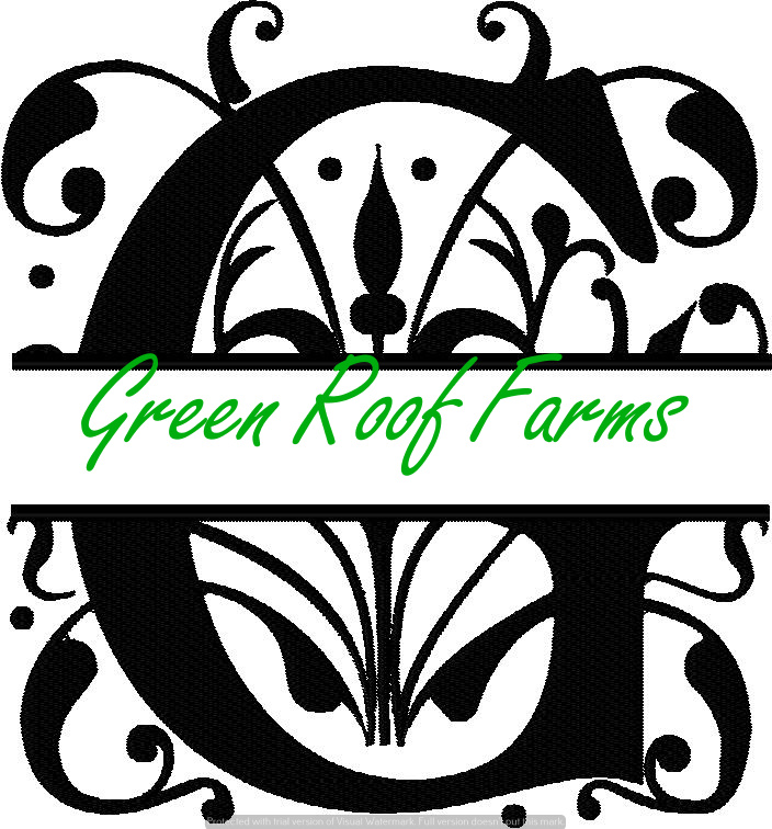 4x4 Royal Font Split with knockdown: G