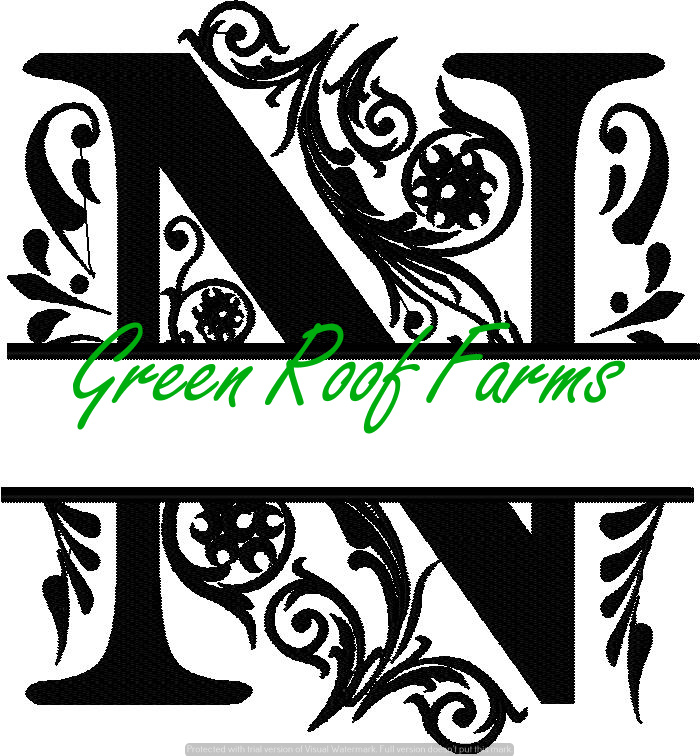 4x4 Royal Font Split with knockdown: N