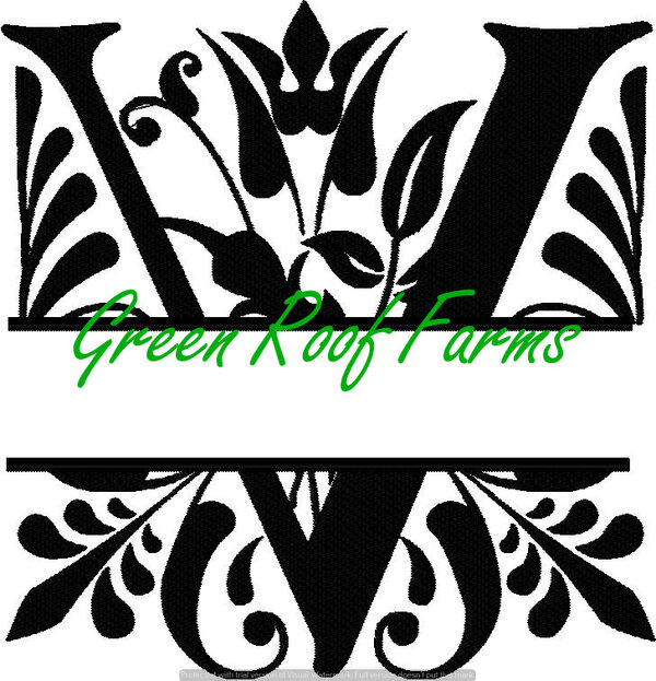 4x4 Royal Font Split with knockdown: V