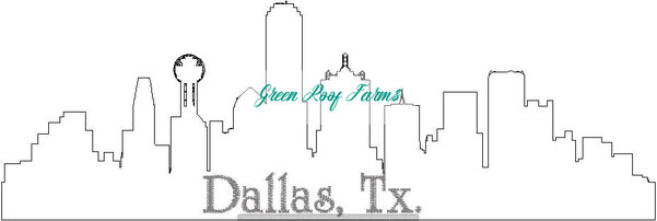 Dallas Skyline