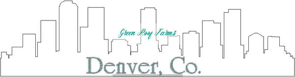 Denver Skyline