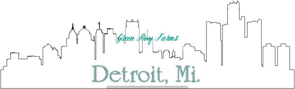 Detroit Skyline