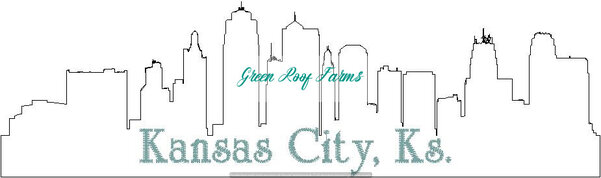 Kansas City Skyline