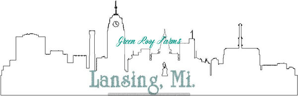 Lansing Skyline