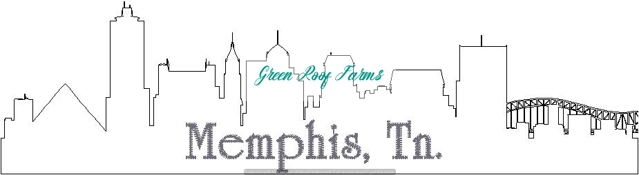 Memphis Skyline