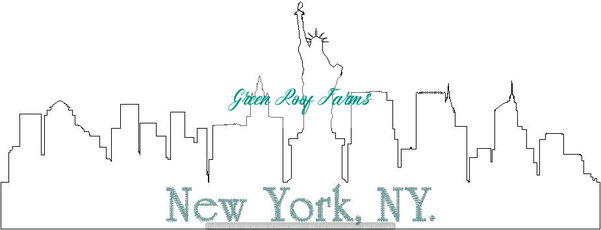 New York Skyline