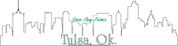 Tulsa Skyline
