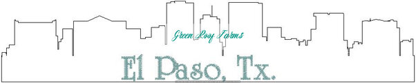 El Paso Skyline