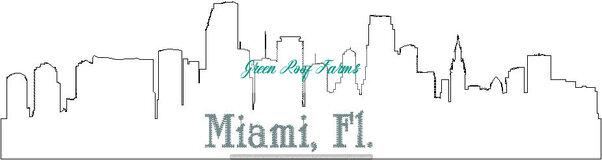 Miami Skyline