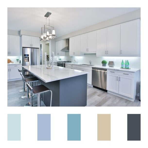 The Guide To The Coolors Color Palette Generator Isotropic Design