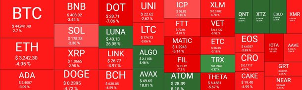 Cryptocurrency Market Overview. Source: Quantify Crypto