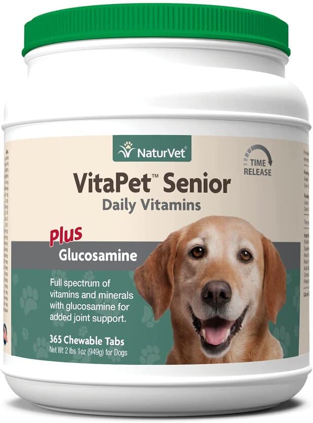 What Is The Best Supplement For Older Dogs