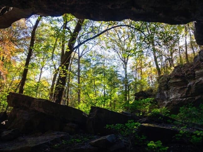 Looking out at the forest from a cave in Russell Cave National Monument, Alabama