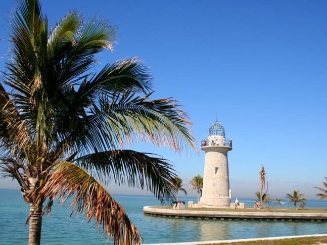 A palm tree in the foreground and white lighthouse in the background in Biscayne National Park