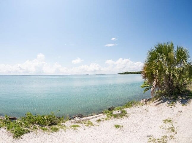 A white beach on the coast of Florida