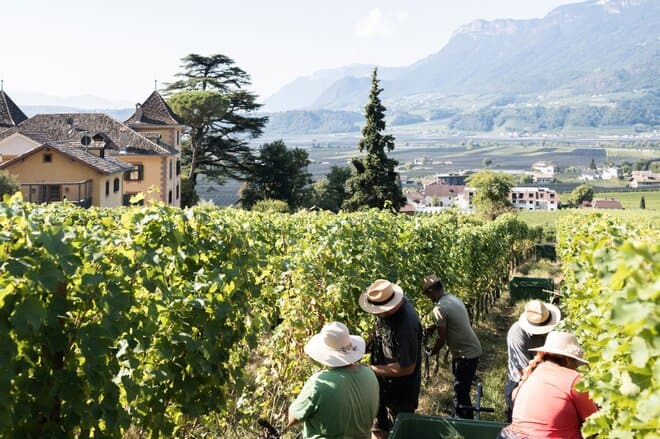 Kornell Wine Estate