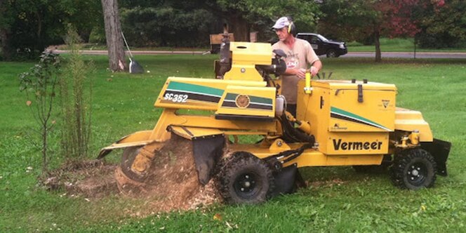 stump grinding benefits