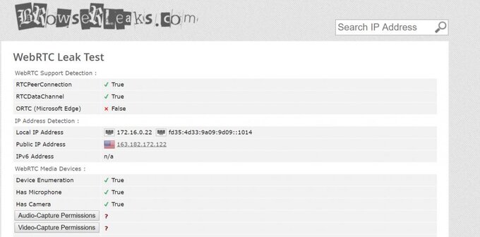 BolehVPN browser leak test result