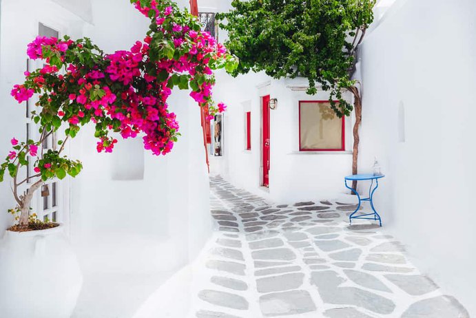 Mykonos - White houses with pink fowers and red window shutters