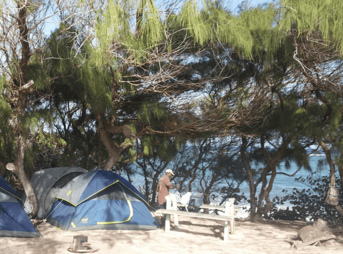 A campsite in Barbados, with tents and picnic tables set up under the shelter of trees.