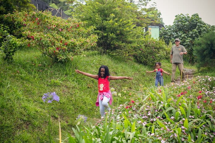 two young children and an older man walk on trails through Holywell Park in Jamaica. The grassy trails are surrounded by trees and flower fields.