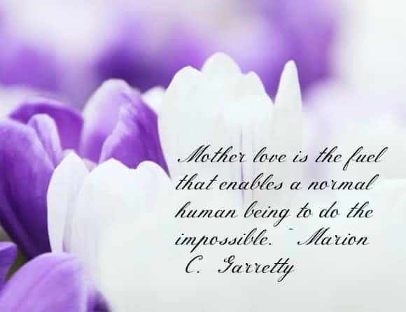 Beautiful Mothers Day Messages Beautiful Mother's Day Quotes And Messages In Jun 2022 - Ourfamilyworld.com