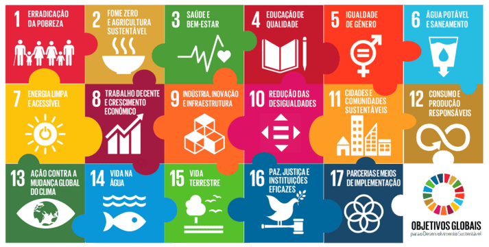 A Pandemia de Covid-19 e a Agenda 2030