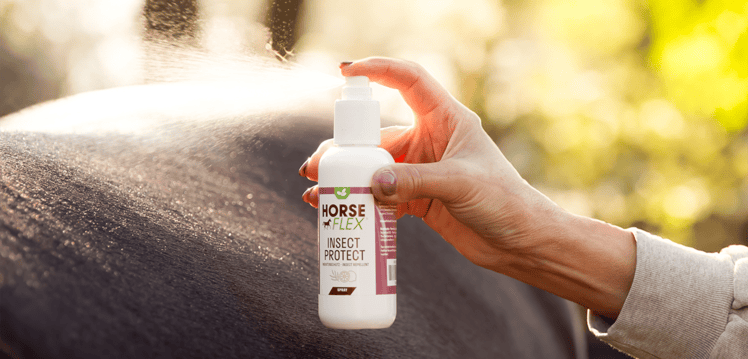 Insectenspray voor paarden