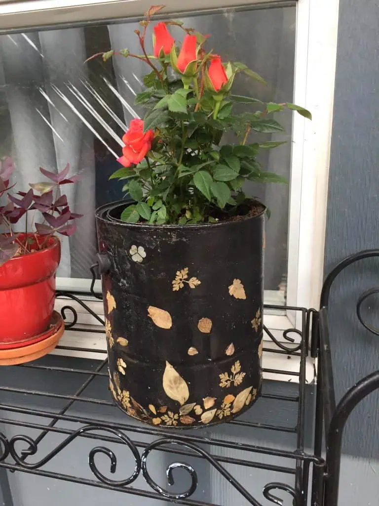 DIY planter from an empty paint can