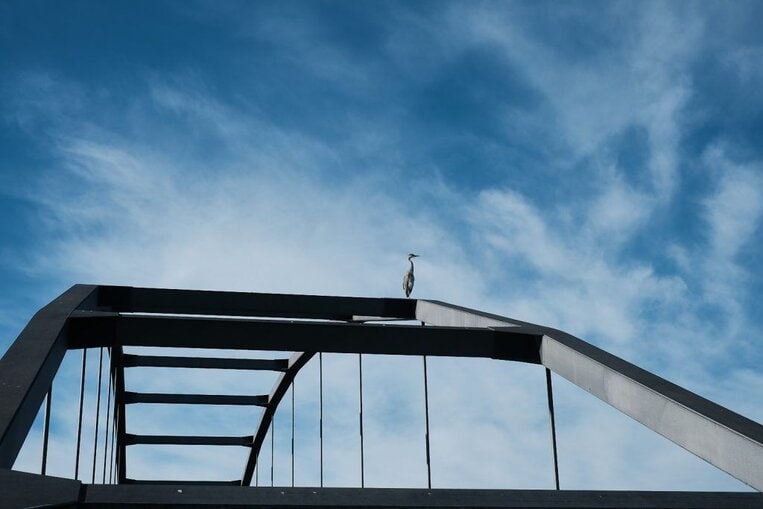 die neue Fuji X-T5: ausführliches Video Review + Beispielfotos 18 Fujifilm X-T5 Review Beispielbilder