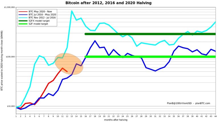 Bitcoin Bull Runs After Each Halving. Source: Twitter