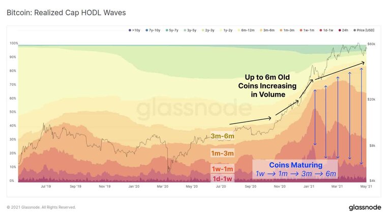 Bitcoin HODL