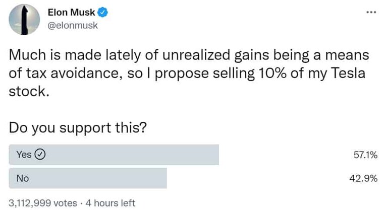 Elon Musk Twitter Poll. Source: Twitter