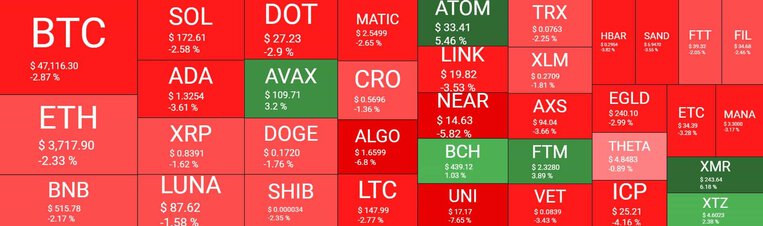 Cryptocurrency Market Overview. Source: Quantify Crypto