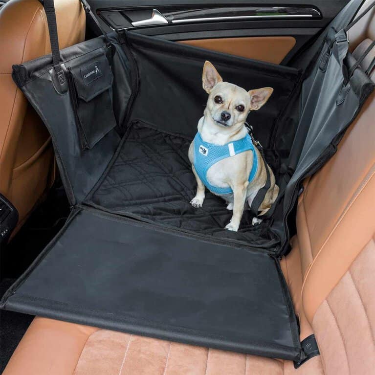 ᐅ hunde autositz test empfehlungen fur 2021