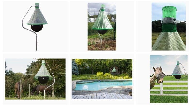 bite lite h trap review product images