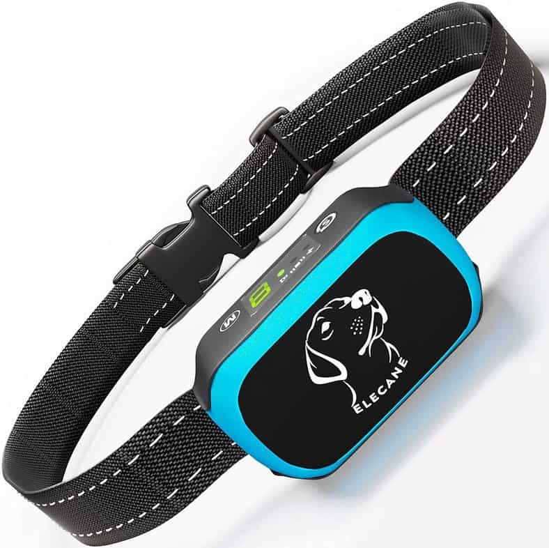 Best Dog Bark Collars for Training