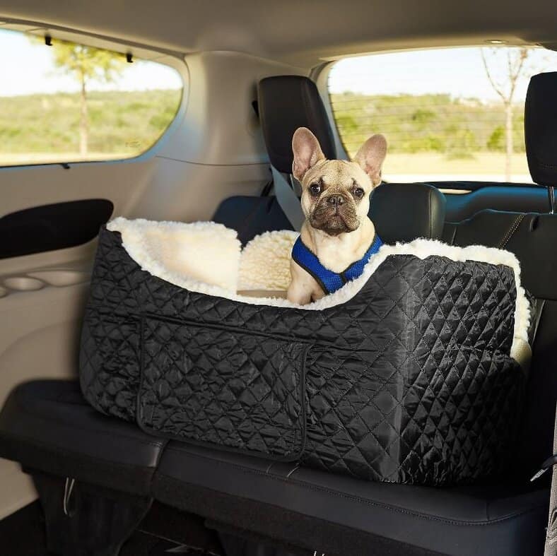 Best Car Seats For Large Dogs Velcromag