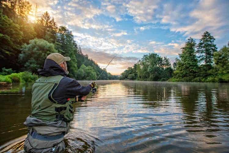 What Is The Best Fishing Line For Trout